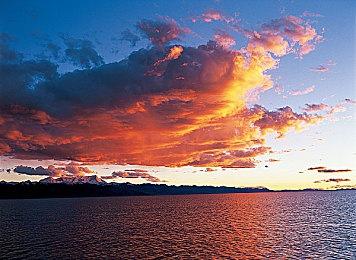 《林中小女巫》5月16日以抢先体验形式登陆PC