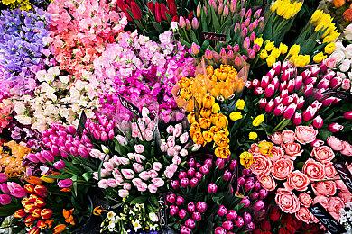 战争策略动作游戏《清算》现已上线Steam平台 即将开启邀请测试